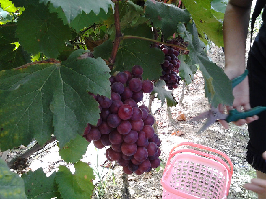 20150711_160336.jpg