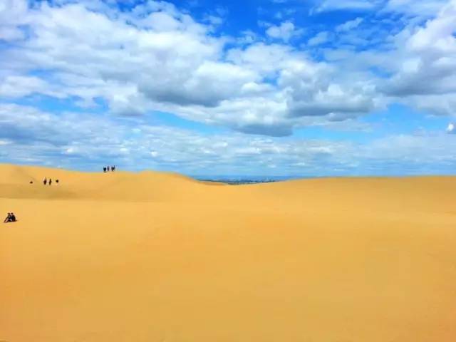 4655224.jpg