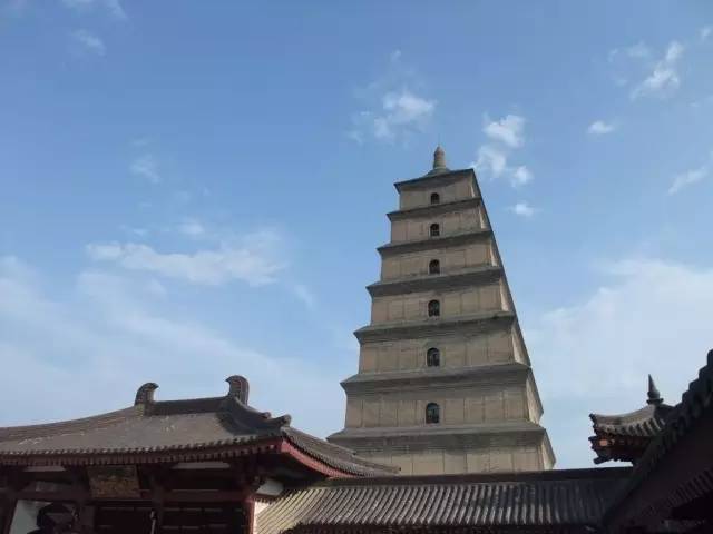 15626242.jpg