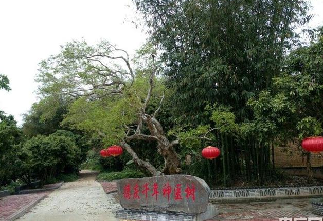 zao01.png